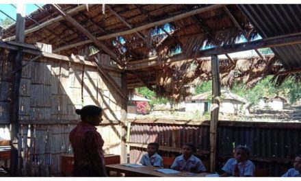 Tantangan Dan Solusi Pendidikan Di Daerah Terpencil