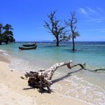 Pesona Alam Dan Budaya Di Sekitar Pantai Aceh