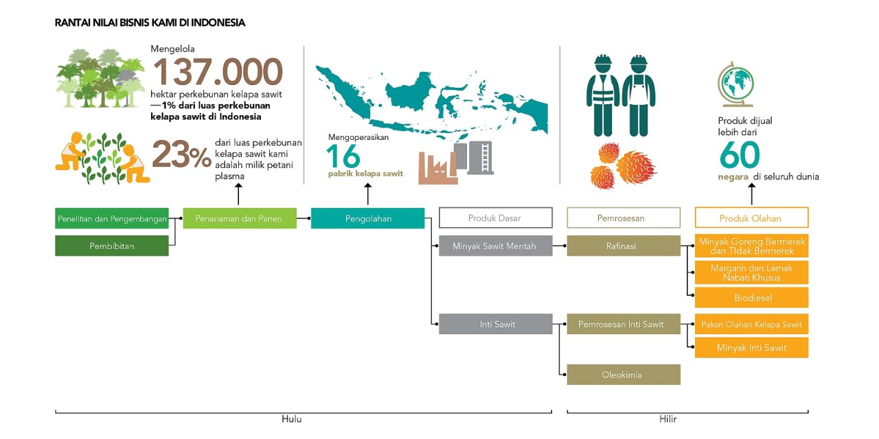 Proses Produksi Dan Produk Unggulan PT Socimas