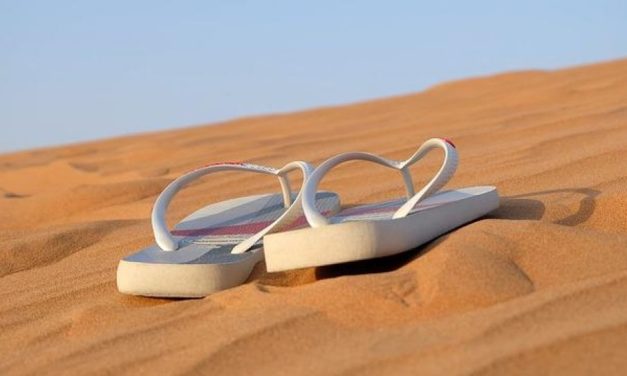 Teman Setia Saat Aktivitas Santai Menggunakan Sendal Jepit