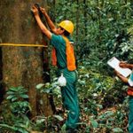 Hutan Harmoni Alam Dalam Kehidupan Masyarakat Indonesia