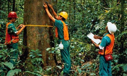 Hutan Harmoni Alam Dalam Kehidupan Masyarakat Indonesia