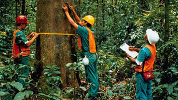 Hutan Harmoni Alam Dalam Kehidupan Masyarakat Indonesia