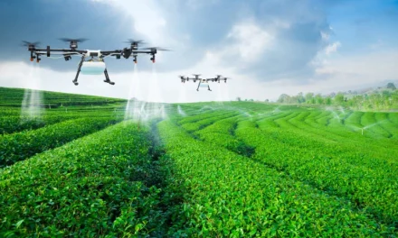 Smart Farming: Peluang Teknologi Pertanian Cerdas Bagi Petani