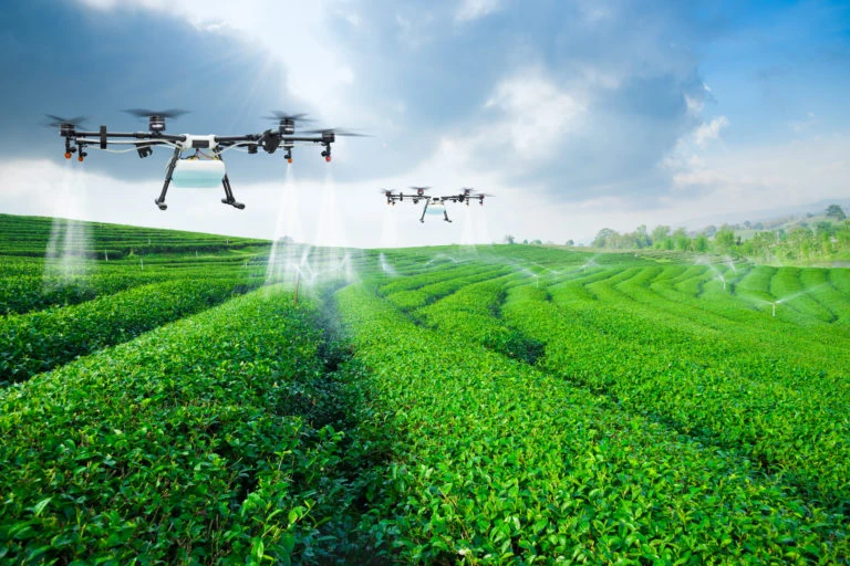 Smart Farming: Peluang Teknologi Pertanian Cerdas Bagi Petani