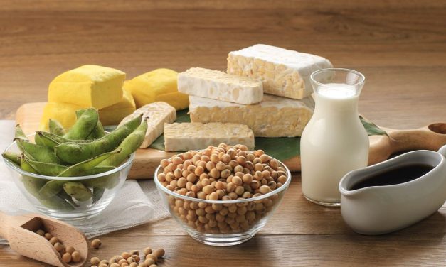 Tempe Dan Tahu: Sumber Protein Nabati Yang Murah Dan Bergizi